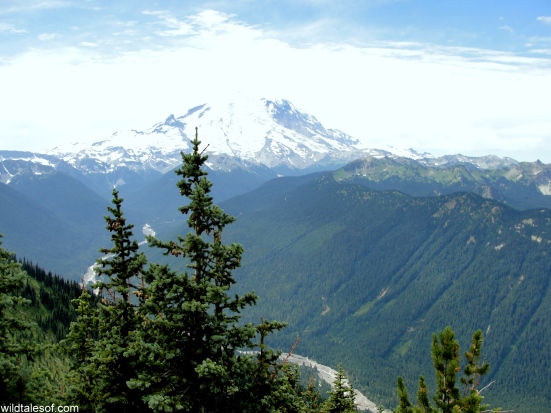 Mount Rainier | Crystal Mountain Resort