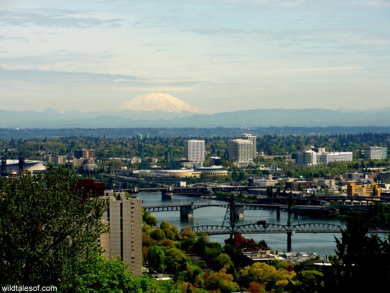 View of Portland from Arial Tram | WildTalesof.com