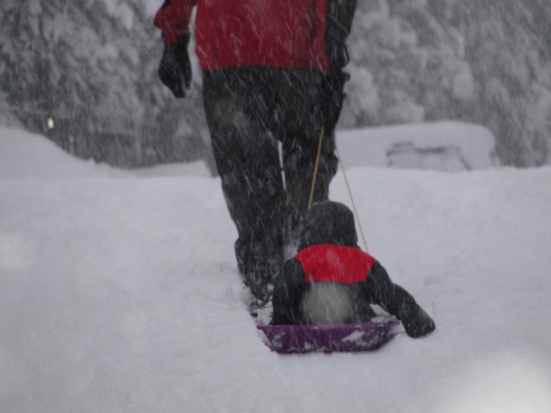 Sledding: A fun way to get Bergen from Point A to Point B. 