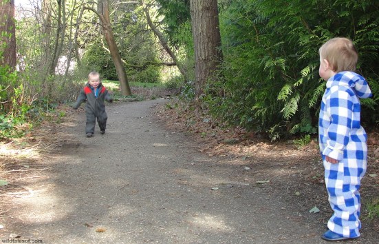 Trail Washington Park Arboretum