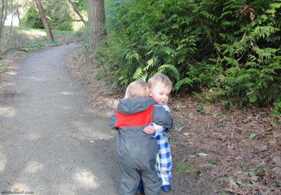 Big Hug: Washington Park Arboretum 