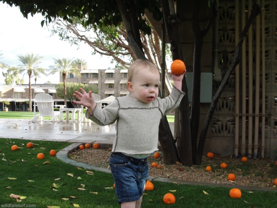 Throwing oranges Arizona Biltmore