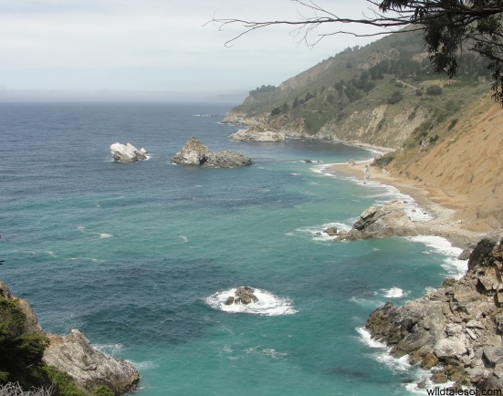 Big Sur, California | WildTalesof.com
