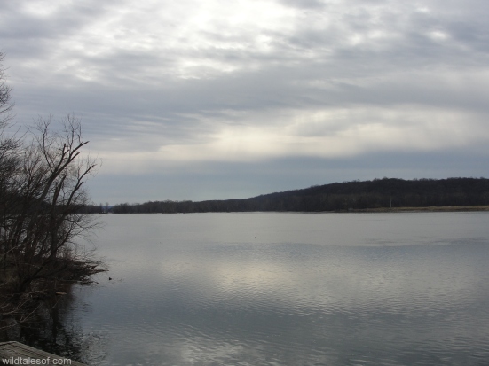Potomac River, Maryland | WildTalesof.com