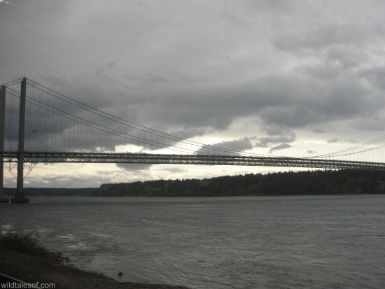 View of Tacoma Narrows Bridge: Amtrak Cascades | WildTalesof.com