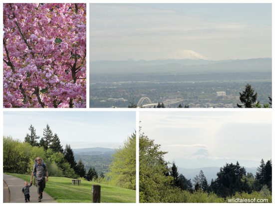 Portland, OR's 4 T Trail: Council Crest | WildTalesof.com