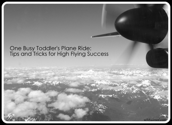 One Busy Toddler's Plane Ride | WildTalesof.com