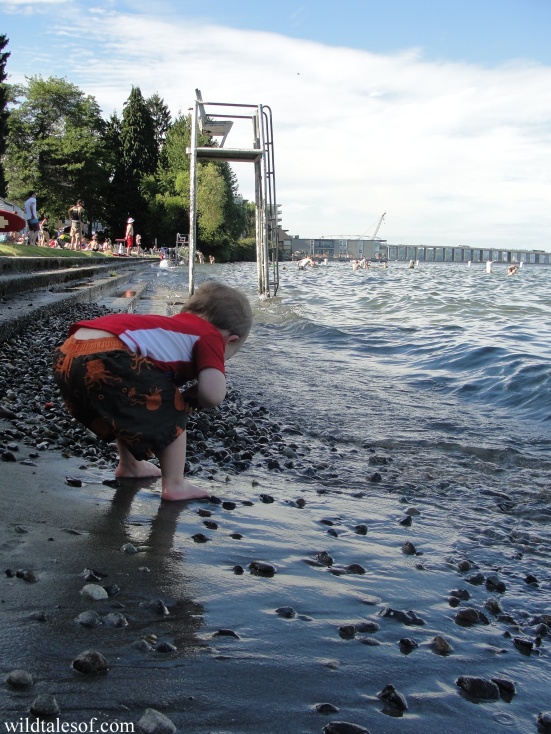 Beach Play in Seattle's Madison Park on Lake Washington | WildTalesof.com