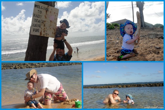 Baby Beach at Moanakai Beach Cottage: Kapa'a, Kauai | WildTalesof.com