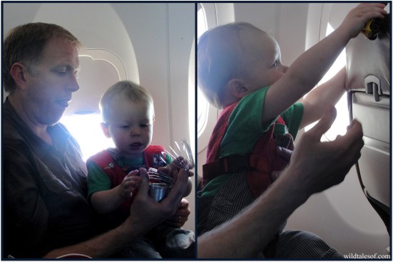 Baby B'Air Flight Vest | WildTalesof.com