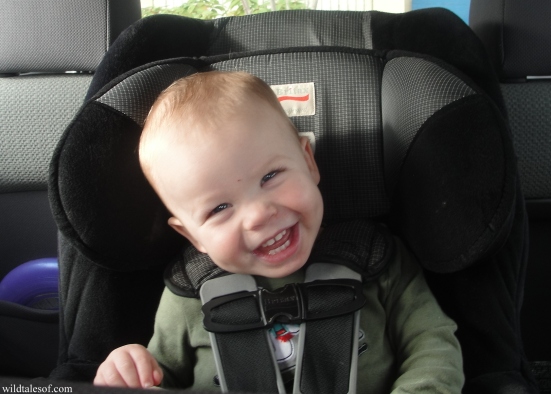 Flying with a Toddler: Tips for Checking the Car Seat | WildTalesof.com