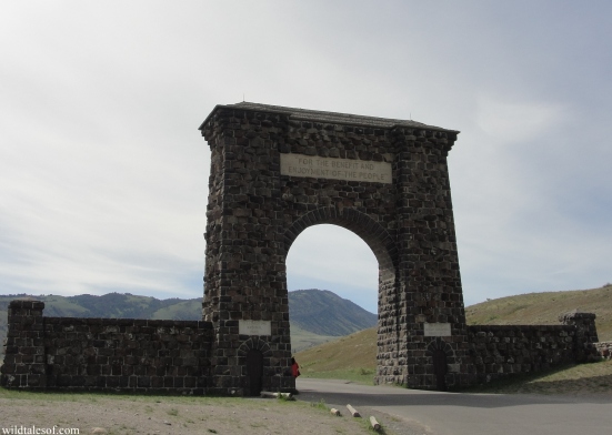 North Entrance: Yellowstone National Park | WildTalesof.com