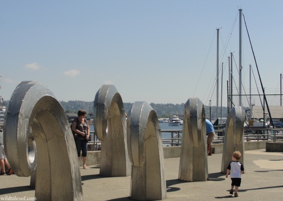 Ballard Locks: Seattle, WA | WildTalesof.com