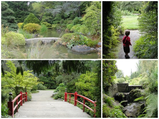 South Seattle's Kubota Garden | WildTalesof.com