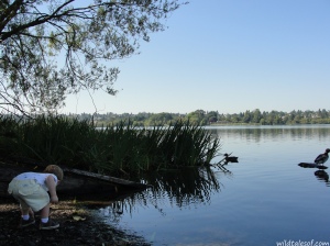 Seattle Area Adventure: Play and Eat (and Save!) in Green Lake | WildTalesof.com