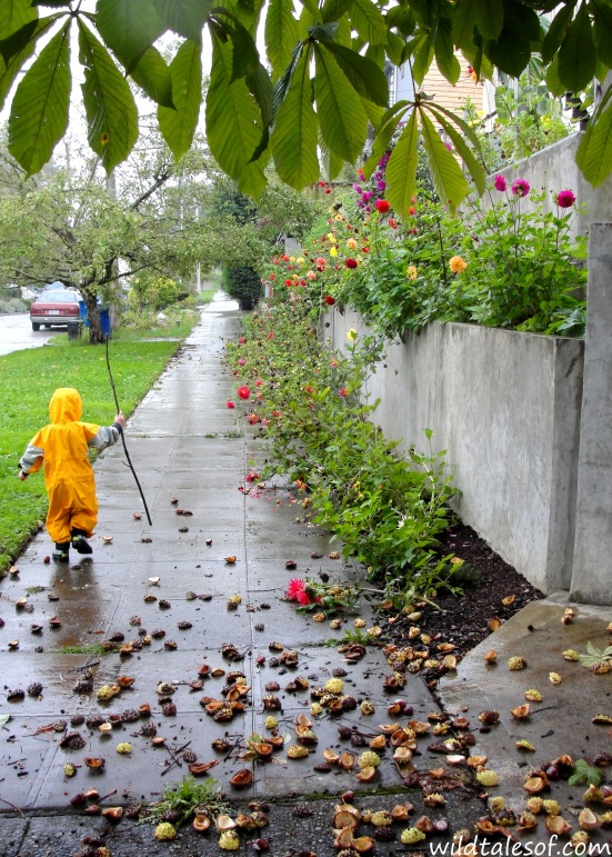 Adventure Gear: Oakiwear's Rain Suit Keeps Us Outside
