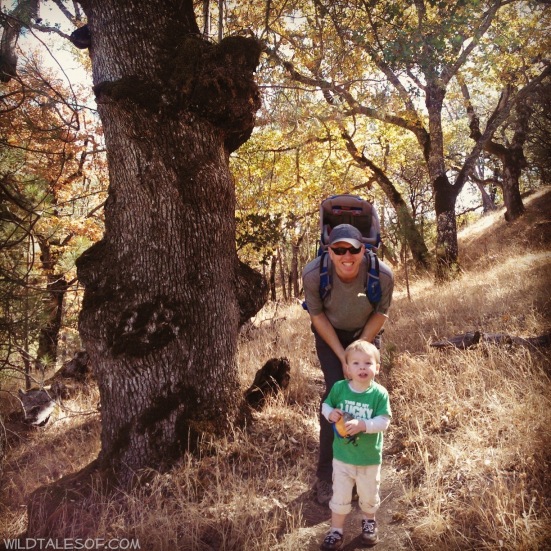 Henry W. Coe State Park: Near San Jose, California | WildTalesof.com