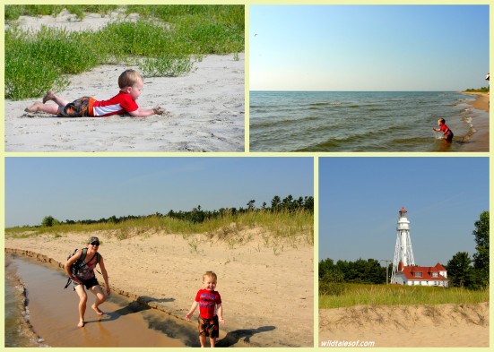Our Midwest Beach Vacation: Exploring Point Beach State Forest in Two Rivers, WI| WildTalesof.com