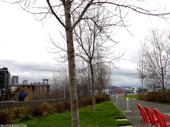 Rainy Day Adventure + Lunch: Seattle's Olympic Sculpture Park | WildTalesof.com