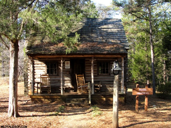 South Carolina's Andrew Jackson State Park