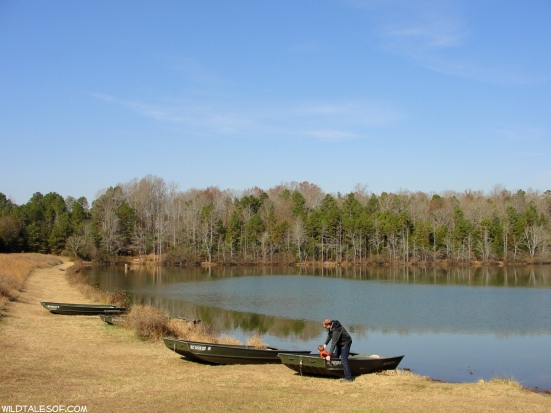 South Carolina's Andrew Jackson State Park | WildTalesof.com