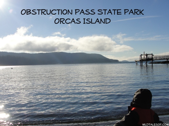 Obstruction Pass State Park: Orcas Island, WA | WildTalesof.com