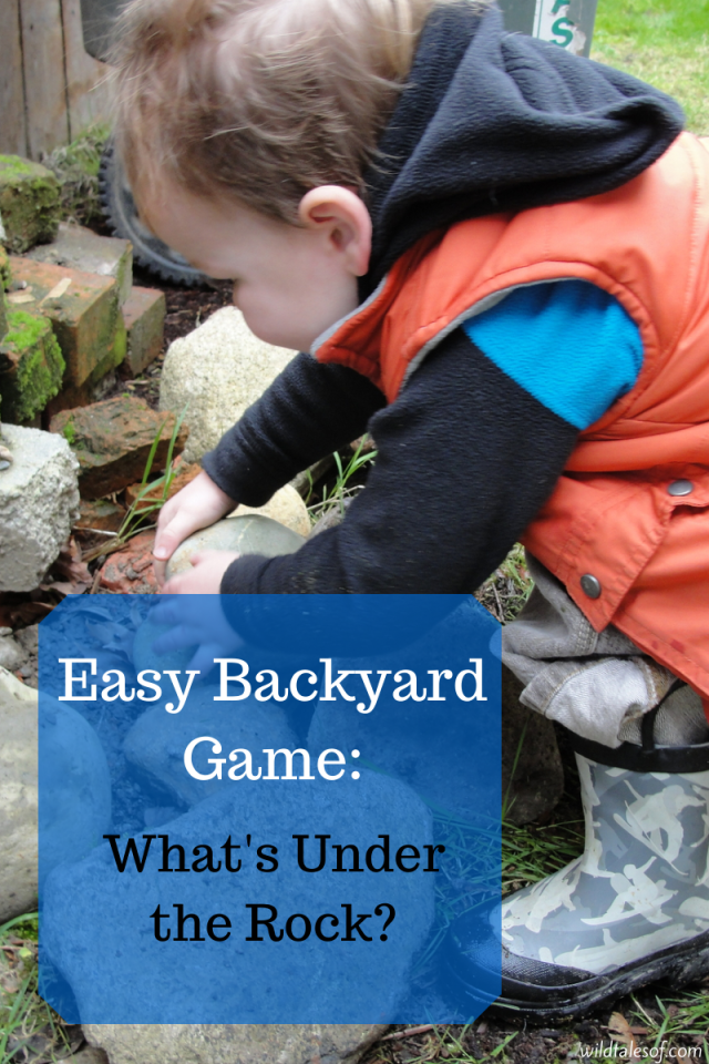 Easy Backyard Game- What's Under the Rock? | WildTalesof.com