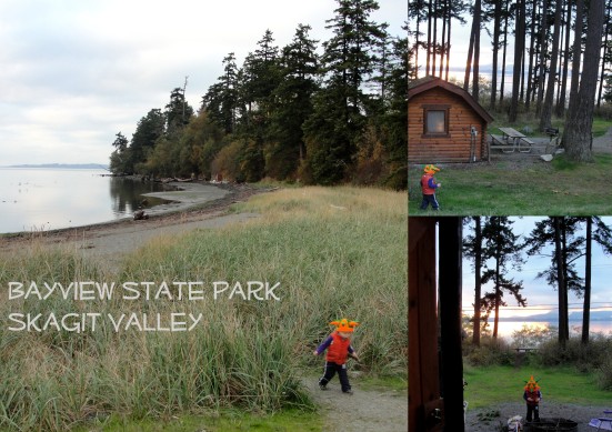 Bayview State Park: Skagit Valley, WA | WildTalesof.com