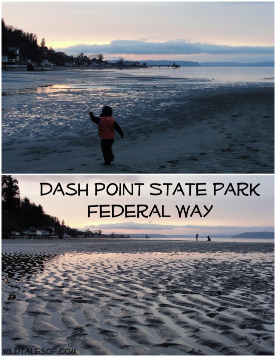 Dash Point State Park: Federal Way, WA | WildTalesof.com