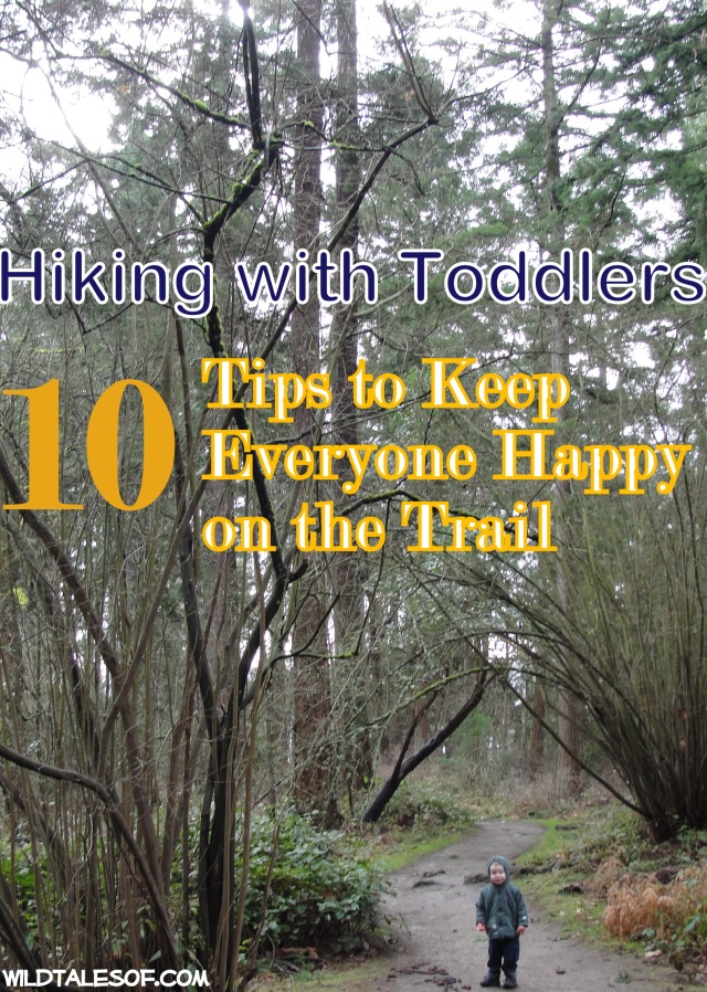 Hiking with Toddlers: 10 Tips to Keep Everyone Happy on the Trail | WildTalesof.com