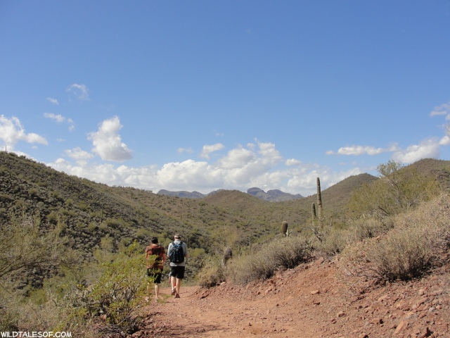 Hiking Lake Pleasant Regional Park: Typical Arizona with a Few Surprises | WildTalesof.com
