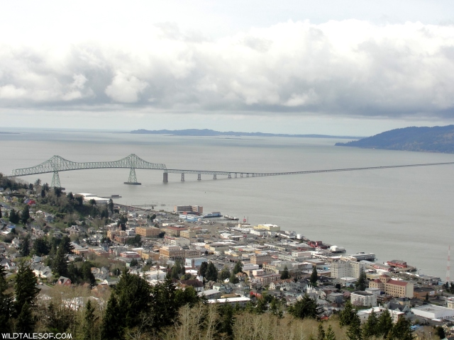 View from the Astoria Column | WildTalesof.com