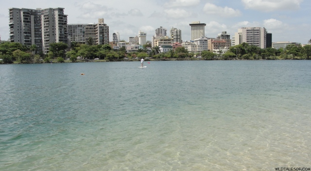 Trying New Things: Stand-up Paddleboarding in San Juan, Puerto Rico | WildTalesof.com