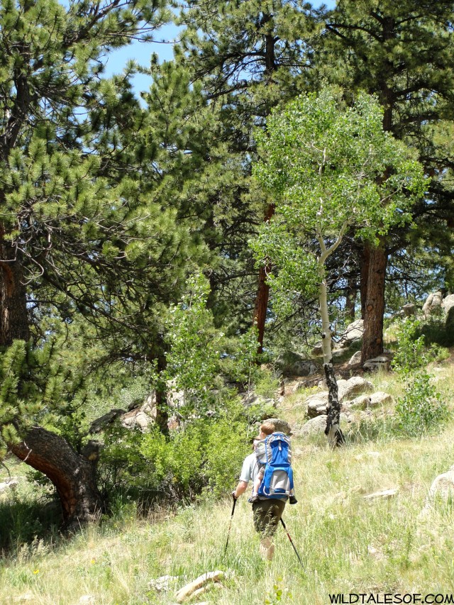 Holiday Reset: Golden, CO’s Golden Gate Canyon State Park| WildTalesof.com