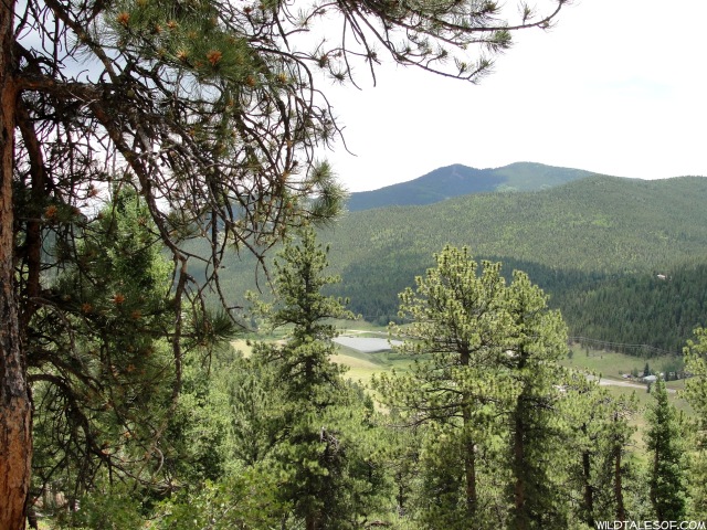 Holiday Reset: Golden, CO’s Golden Gate Canyon State Park| WildTalesof.com