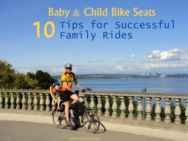 Baby and Child Bike Seats: 10 Tips for Successful Family Rides | WildTalesof.com