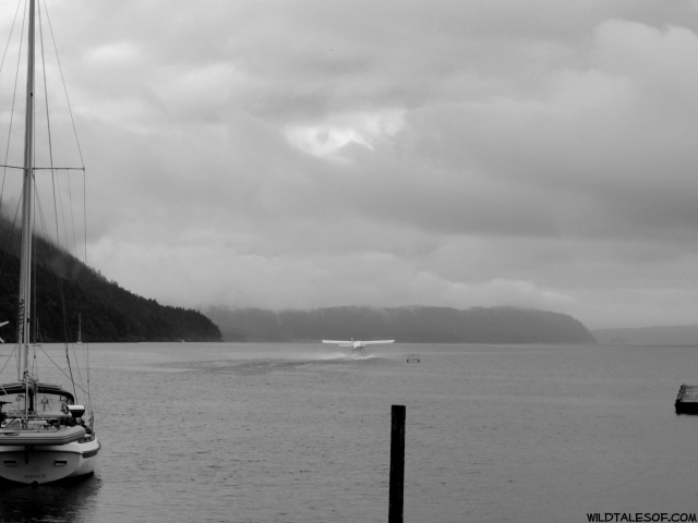 Magical Moments We can Make Happen: Seaplane Take-off on Orcas Island | WildTalesof.com