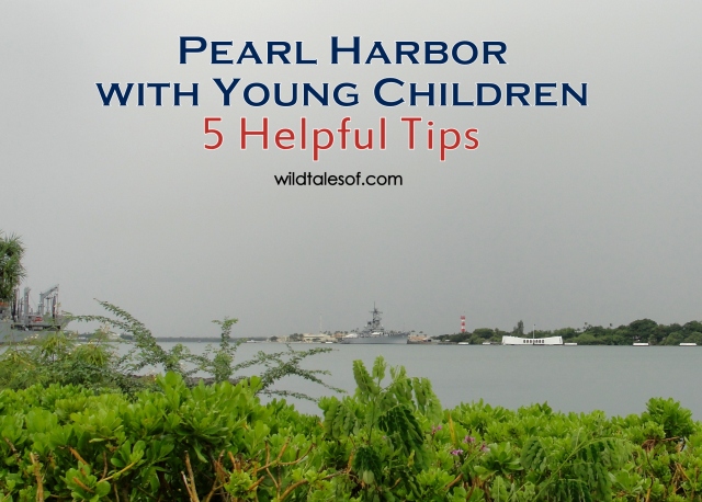 Visiting Pearl Harbor with Young Children: 5 Helpful Tips | WildTalesof.com
