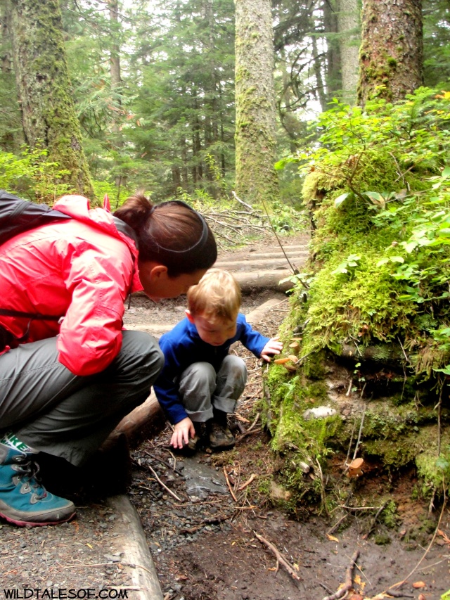 Western Washington Preschool  Hikes: Franklin Falls | WildTalesof.com