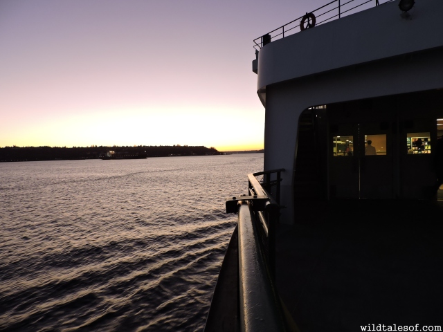 New Year's Ferry Boat Ride: Seattle to Bainbridge Island, WA | WildTalesof.com