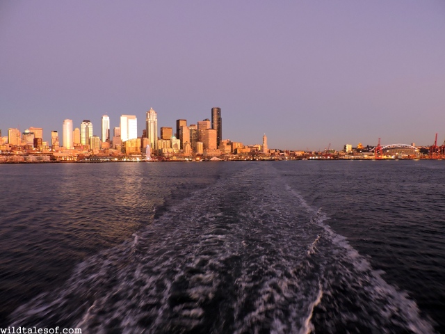 New Year's Ferry Boat Ride: Seattle to Bainbridge Island, WA | WildTalesof.com