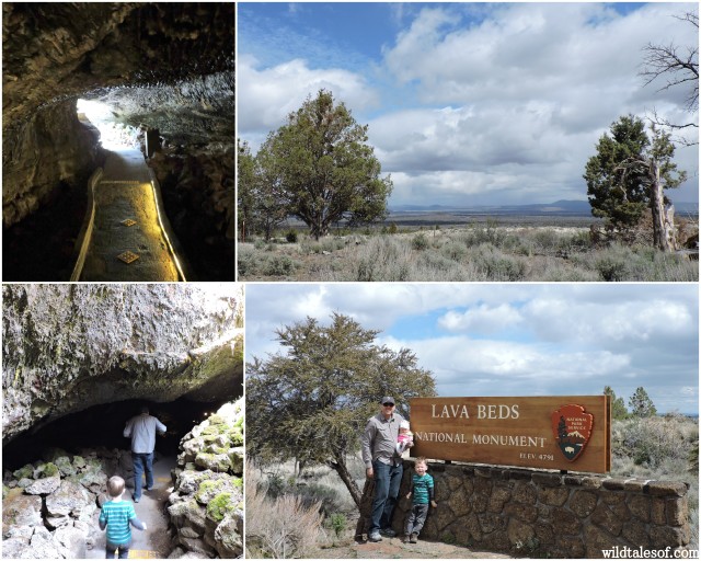 Lava Beds National Monument | WildTalesof.com