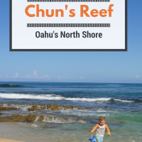 Chun's Reef: Tide Pooling Fun on Oahu's North Shore